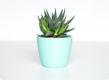 portfolio-item